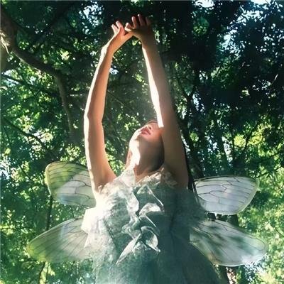 原野大侠客